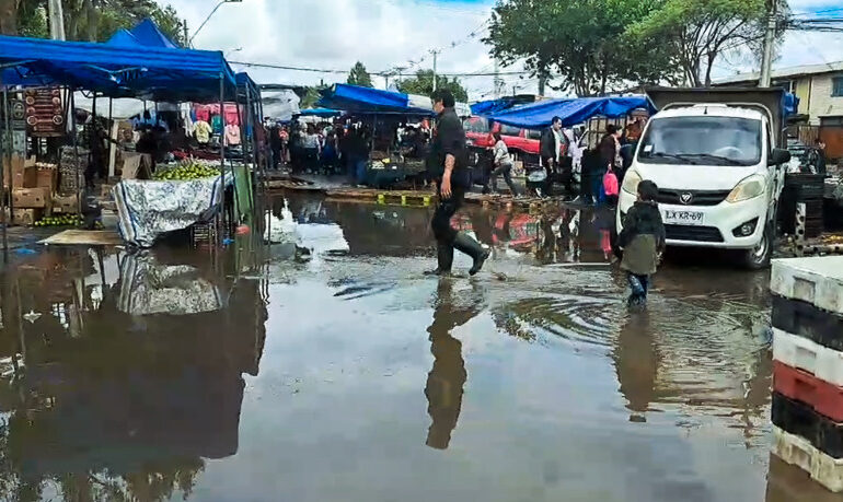 Clientes y comerciantes de feria libre fueron afectados por calle inundada en Pudahuel sur