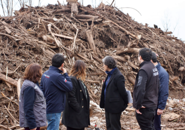 Vecino reclama por árboles que crecieron a orillas del río Mapocho y que afectó a Pudahuel en las pasadas inundaciones
