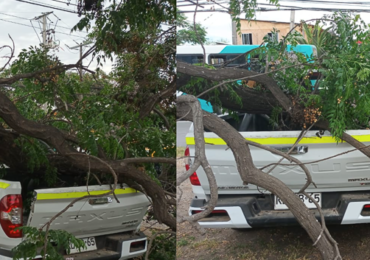 Rescate Ciudadano: Árbol Cae sobre Vehículo en Pudahuel sin lesionados