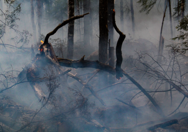 Incendios forestales: Especialistas explican los riesgos a lo que se exponen las personas después de un siniestro
