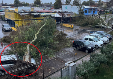 Sistema frontal azota a Pudahuel causando caídas de árboles y voladuras de techo