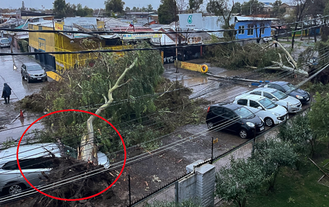 Sistema frontal azota a Pudahuel causando caídas de árboles y voladuras de techo