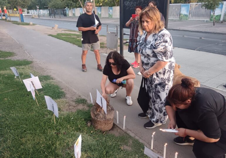 Denuncian brutal ataque de perros en Pudahuel: comunidad exige respuestas