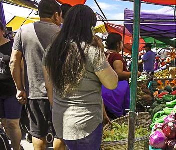 Nueva ley establece régimen tributario para feriantes: incluye baja tasa, exención de contabilidad y ampliación de cobertura