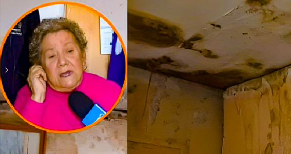 “Se me llueve todo el departamento”: el dramático abandono que sufre una adulta mayor de 90 años en Pudahuel