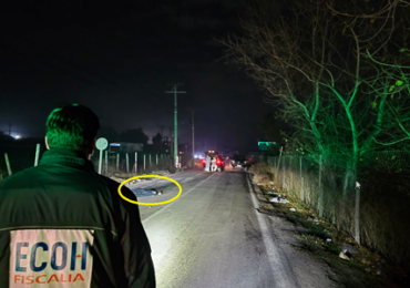 Brutal homicidio en Pudahuel Rural: hombre es encontrado sin vida con múltiples disparos en su cuerpo