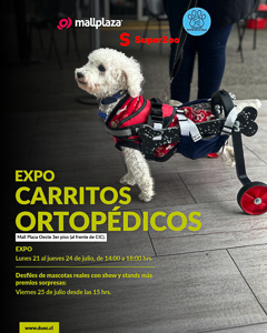 Mascotas con nuevas ruedas: emotivo desfile de animales con carritos ortopédicos en Mall Plaza Oeste