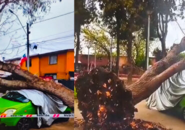 Árbol cae sobre automóvil en Pudahuel Sur y genera preocupación vecinal