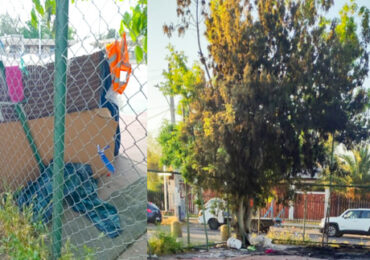 Incendio destruye ruco y daña árbol en recinto deportivo de Pudahuel