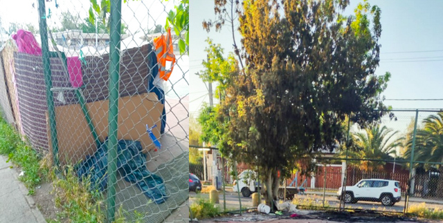 Incendio destruye ruco y daña árbol en recinto deportivo de Pudahuel