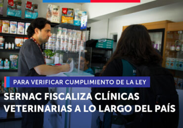 SERNAC fiscaliza clínicas veterinarias a lo largo del país para verificar cumplimiento de la ley